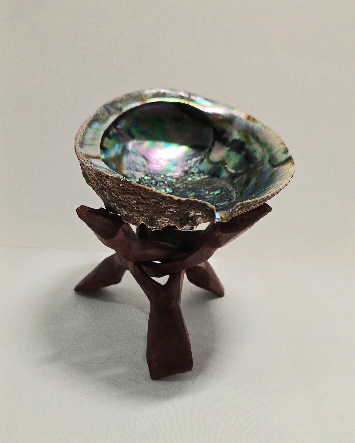 Abalone Shell 14cm Cleansing bowl for Sage, Palo Santo & Rituals