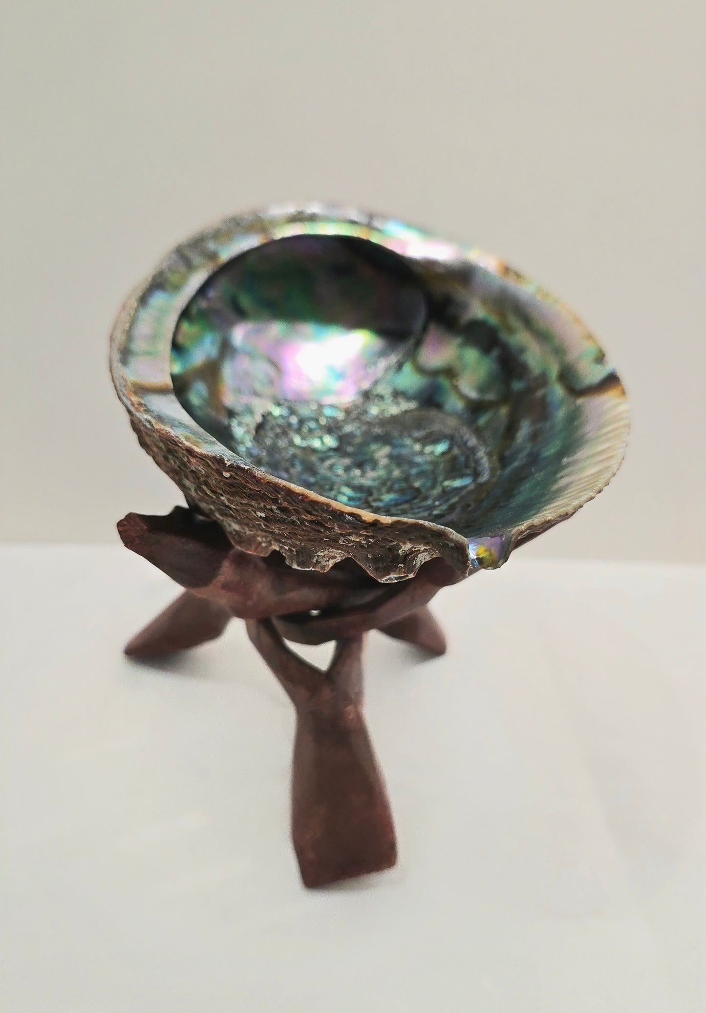 Abalone Shell 14cm Cleansing bowl for Sage, Palo Santo & Rituals