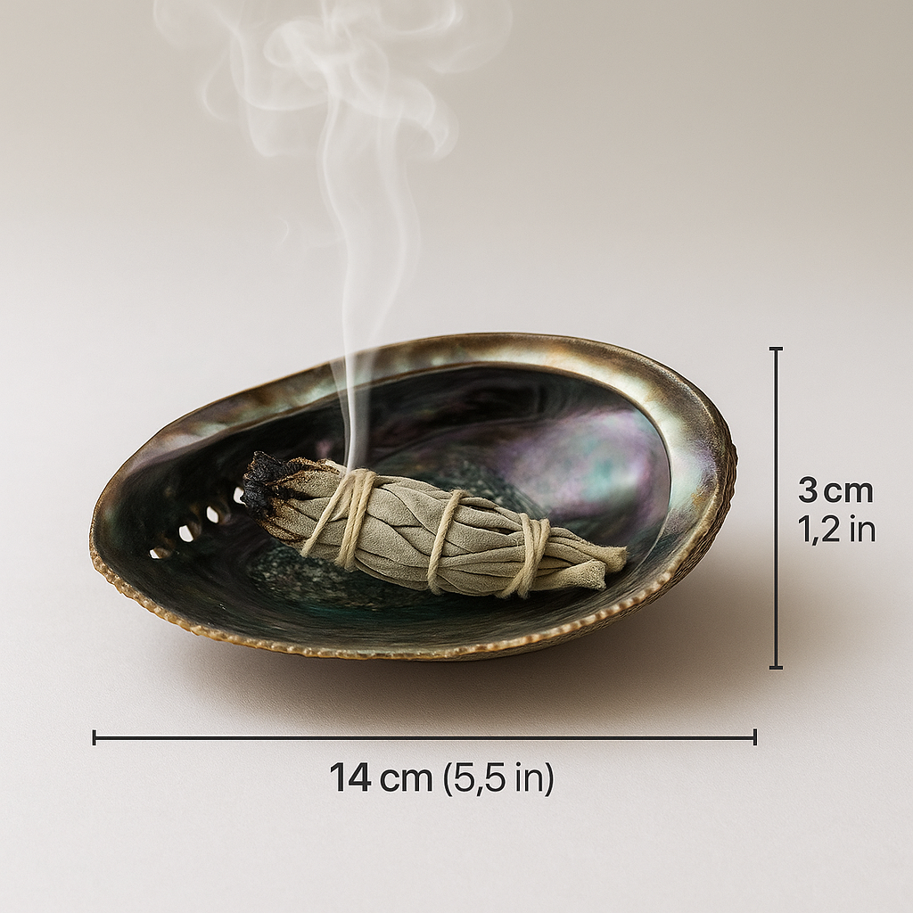 Abalone Shell 14cm Cleansing bowl for Sage, Palo Santo & Rituals