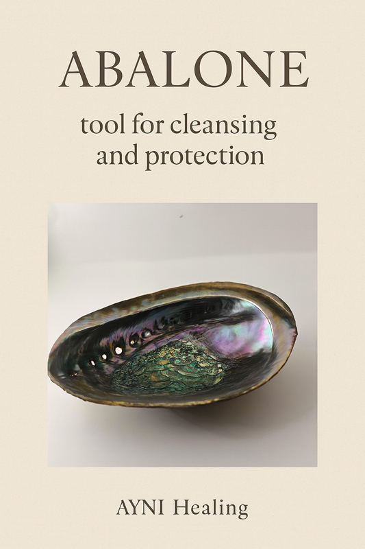 Abalone Shell 14cm Cleansing bowl for Sage, Palo Santo & Rituals