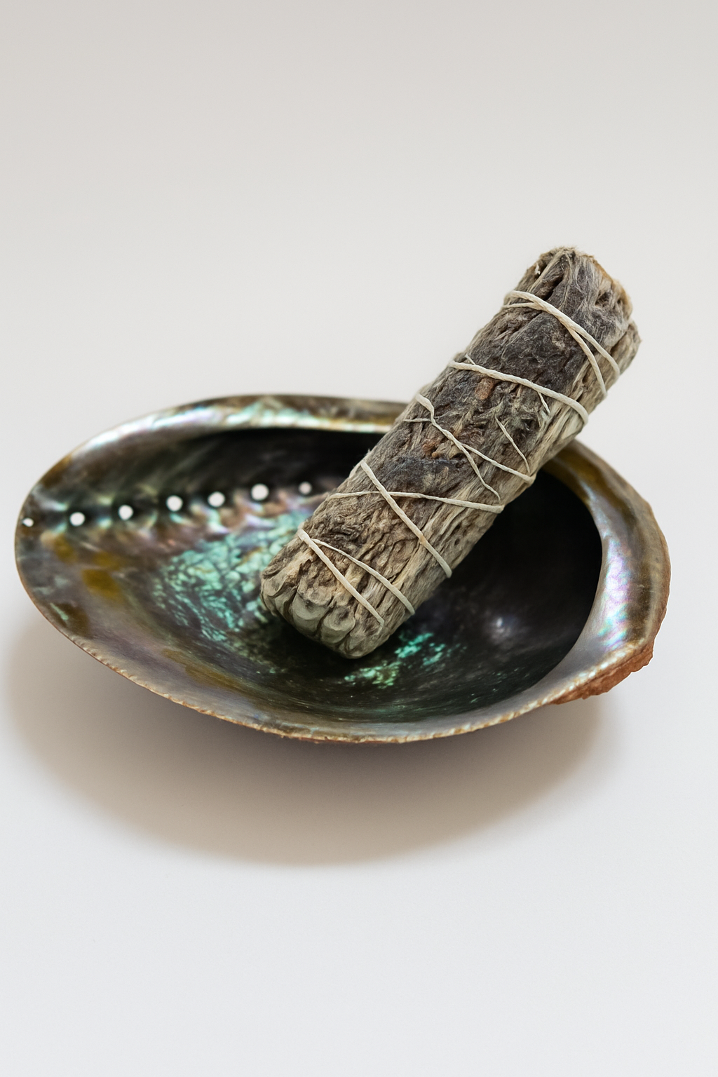 Abalone Shell 14cm Cleansing bowl for Sage, Palo Santo & Rituals